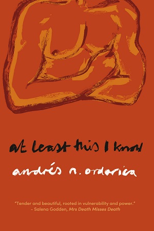 The book cover for 'At Least This I Know'. An orange cover with an orange and rust torso.